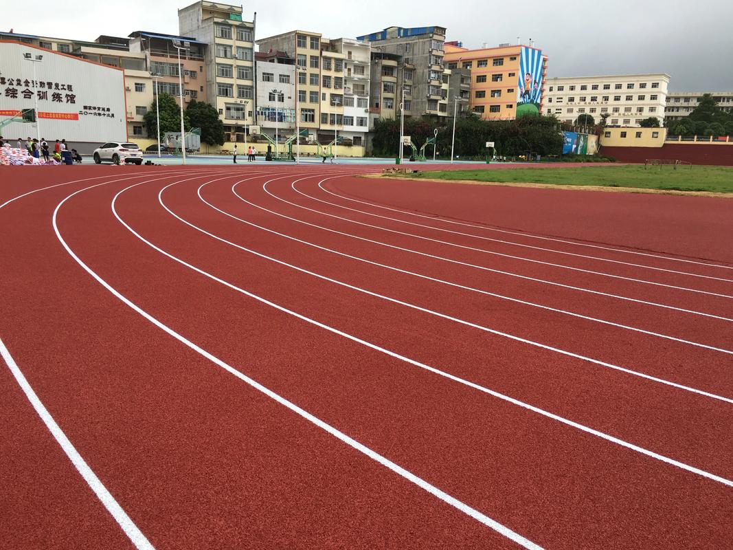 萍乡市硅PU塑胶跑道材料 - 推荐